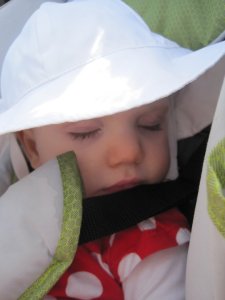 28878_1475256599730_4829866_n