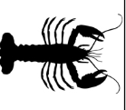 Lobster
