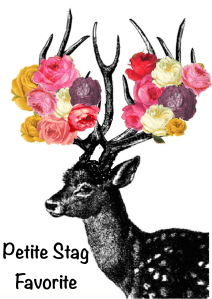 petite-stag-favorite