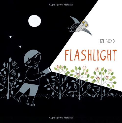 Flashlight - cover