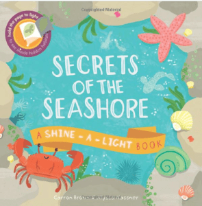 Secrets of the Seashore