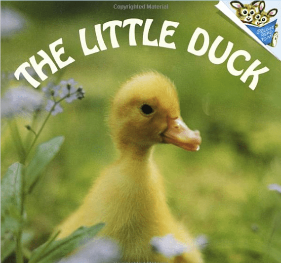 The Little Duck