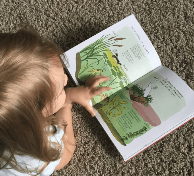 Screen Shot 2016-06-13 at 9.29.14 AM