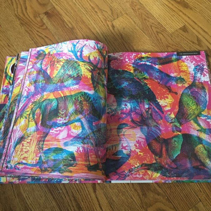 illuminature-loch-lomond